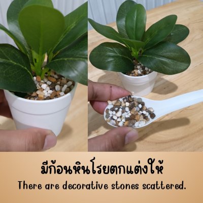 ต้นไม้ปลอมขนาดเล็กกระถางพลาสติกสีขาว 3 นิ้ว Small artificial plant