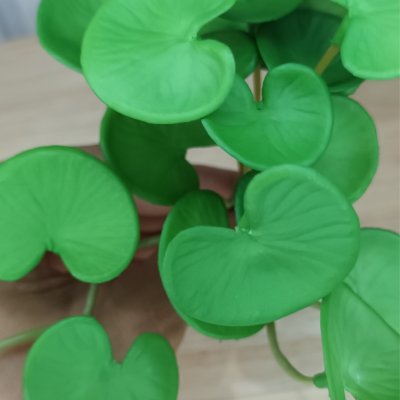 ต้นไม้ปลอมประดิษฐ์ขนาดเล็กSmall artificial plant