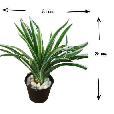 ต้นเศรษฐีเรือนนอกปลอมต้นไม้ประดิษฐ์กระถาง 4 นิ้ว 4-inch potted artificial plant.
