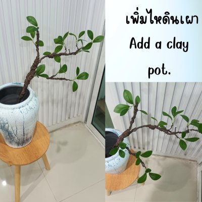 กิ่งไม้ใบไม้ปลอมประดิษฐ์ไหดินเผา Artificial branches and leaves in a clay pot.