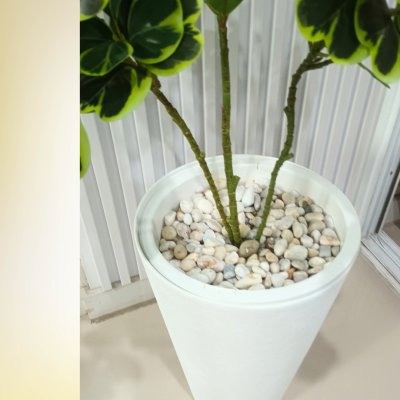 ต้นหัวใจเศรษฐี (สาริกาด่าง) ต้นไม้ปลอมประดิษฐ์ Artificial Mistletoe Fig