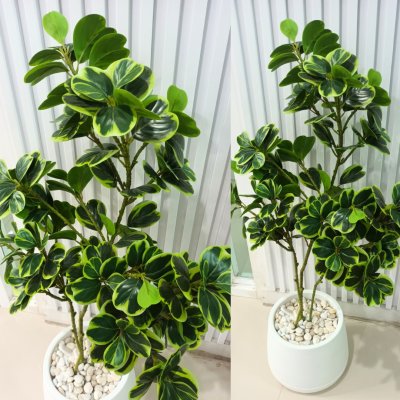 ต้นหัวใจเศรษฐี (สาริกาด่าง) ต้นไม้ปลอมประดิษฐ์กระถางเบลล่า 9 นิ้ว Artificial Mistletoe Fig