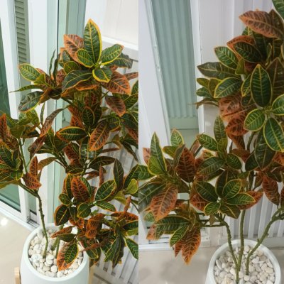 (3P)ต้นโกสนปลอม ต้นไม้ปลอมประดิษฐ์ Artificial Croton Plant
