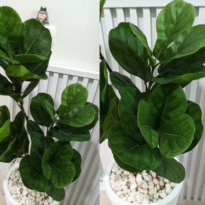 (3P)ต้นไทรใบสักปลอม ต้นไม้ปลอมประดิษฐ์ Artificial Fiddle-leaf fig