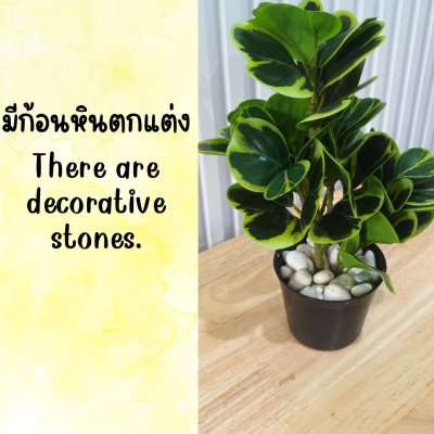 ต้นหัวใจเศรษฐี (สาริกาด่าง) ปลอมประดิษฐ์ตะกร้าสานพลาสติก Artificial Mistletoe Fig