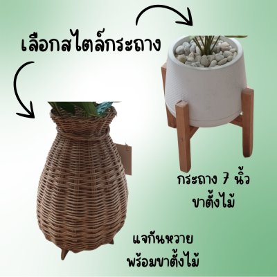 ต้นไม้ปลอมประดิษฐ์ใบลายสวยในแจกันหวายและกระถางเบลล่าพร้อมป้าย