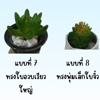 แคคตัสปลอมในกระถางเซรามิก