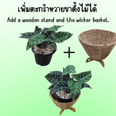 ต้นไม้ปลอมประดิษฐ์ใบลายใบสวยงามกระถาง 8 นิ้ว