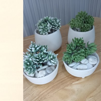แคคตัสไม้อวบน้ำปลอม Artificial succulent cactus.