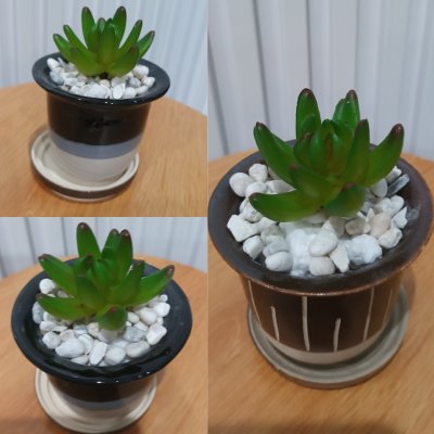 แคคตัสปลอมต้นไม้ประดิษฐ์ในกระถางเซรามิก Artificial cactus in a ceramic pot.