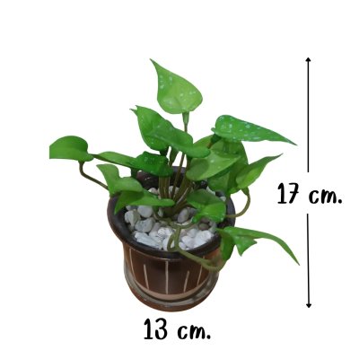 ต้นไม้ปลอมประดิษฐ์ขนาดเล็กในกระถางเซรามิก Small artificial plant in a ceramic pot.