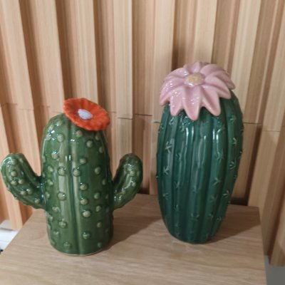 (2 ชิ้น)ต้นกระบองเพชรเซรามิกน่ารัก Cute ceramic cactus.