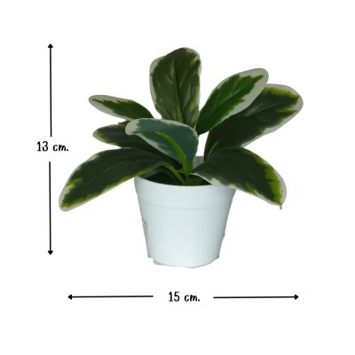 ต้นไม้ปลอมขนาดเล็กกระถางพลาสติกสีขาว 3 นิ้ว Small artificial plant