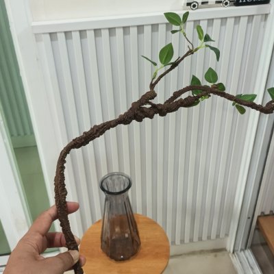 กิ่งไม้ใบไม้ปลอมประดิษฐ์แจกันแก้ว Artificial branches and leaves in a glass vase.
