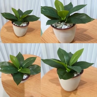 ต้นไม้ปลอมขนาดเล็กกับกระถางเซรามิก 3-3.5 นิ้ว Small artificial plant with a ceramic pot.