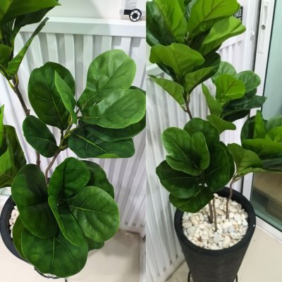 ต้นไทรใบสักปลอมในกระถางทรงสูง 12 นิ้ว Artificial Fiddle-leaf fig Home Decor