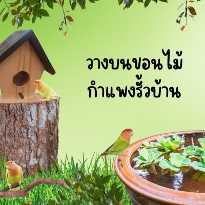 บ้านนกไม้กับเสาตะขอแขวน