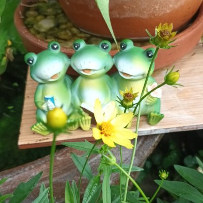 ตุ๊กตากบเรซิ่น 3 ตัวนั่งเรียงกัน Resin frog dolls, 3 sitting in a row