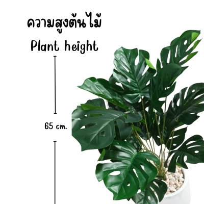 ต้นมอนสเตอร่าปลอมขนาดใหญ่เหมือนจริง | Artificial / Fake Monstera Plant