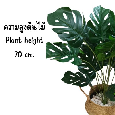 ต้นมอนสเตอร่าปลอมขนาดใหญ่เหมือนจริง Artificial / Fake Monstera plantket, wooden stand