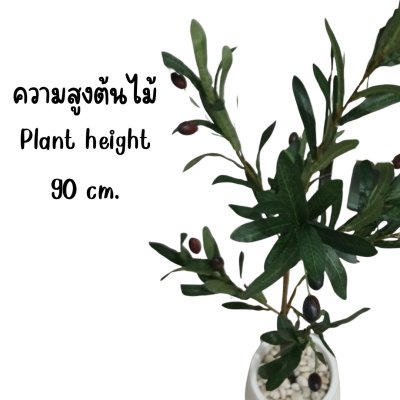 ต้นมะกอกโอลีฟปลอมประดิษฐ์ Artificial / Fake Olive Tree