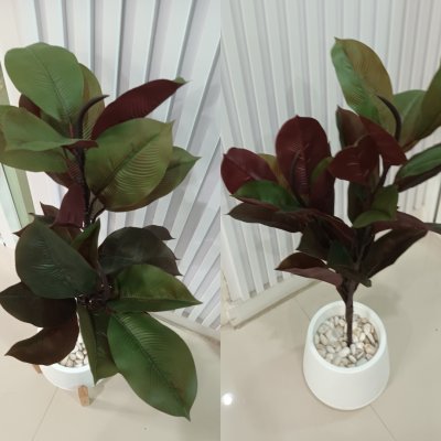 ต้นยางอินเดียปลอมประดิษฐ์ Artificial Rubber Tree