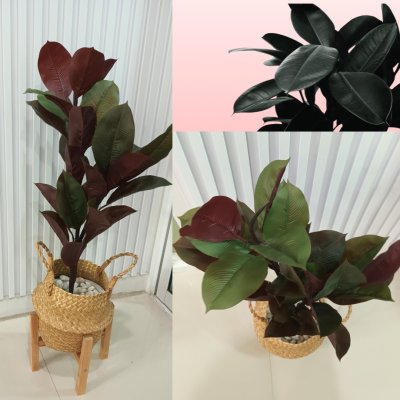 ต้นยางอินเดียปลอมประดิษฐ์ Artificial Rubber Tree
