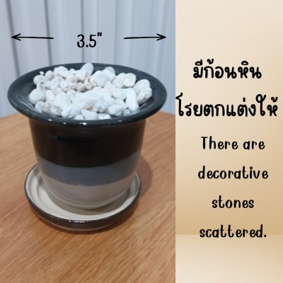 แคคตัสปลอมต้นไม้ประดิษฐ์ในกระถางเซรามิก Artificial cactus in a ceramic pot.