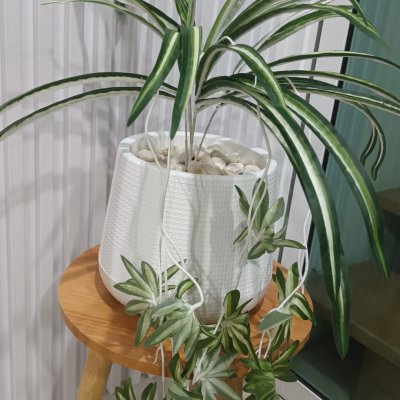 ต้นเศรษฐีเรือนนอกปลอมต้นไม้ประดิษฐ์กระถางเบลล่า Artificial Bella Potted Plant