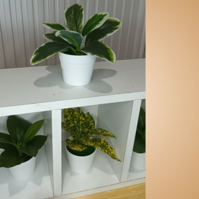 ต้นไม้ปลอมขนาดเล็กกระถางพลาสติกสีขาว 3 นิ้ว Small artificial plant