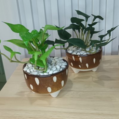 ต้นไม้เลื้อยปลอมประดิษฐ์ขนาดเล็กในกระถางเซรามิก 3.5 นิ้ว Artificial plant in ceramic pot.