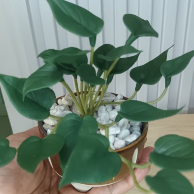 ต้นไม้ปลอมประดิษฐ์ขนาดเล็กSmall artificial plant