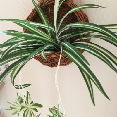 ต้นเศรษฐีเรือนนอกปลอมประดิษฐ์ตะกร้าสาน Artificial plant in woven basket