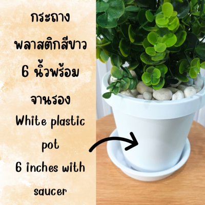 ต้นไม้ปลอมประดิษฐ์ใบเขียวกระถางขาว 6 นิ้ว Artificial green-leaf plant in a 6-inch white pot.