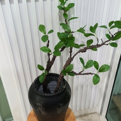 กิ่งไม้ใบไม้ปลอมประดิษฐ์ไหดินเผา Artificial branches and leaves in a clay pot.