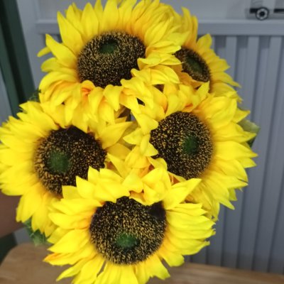ดอกทานตะวันดอกใหญ่ดอกไม้ปลอมเหมือนจริง Sunflower big flower artificial flower