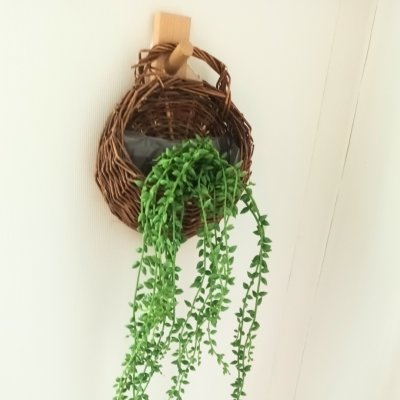 ต้นไม้เลื้อยปลอมประดิษฐ์ตะกร้าสาน Artificial climbing plant in woven basket