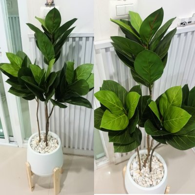 ต้นยางอินเดียปลอมต้นไม้ประดิษฐ์ขนาดใหญ่กระถางเบลล่า 9 นิ้ว Artificial / Fake Indian Rubber Plant