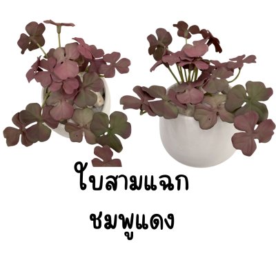 แคคตัสปลอมในกระถางเซรามิก
