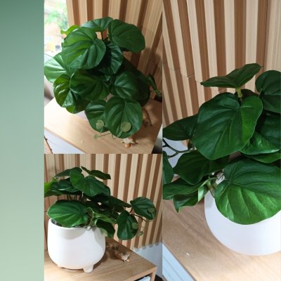 ต้นไม้เลื้อยปลอมในกระถางดินเผาทรงนมวัว Artificial vine plant in cow-shaped ceramic pot.