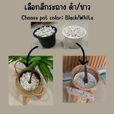 ตะกร้าสานกับขาตั้งไม้ Woven basket with a wooden stand