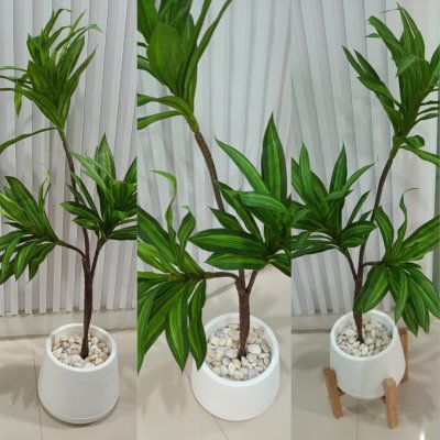 ต้นดราซีน่่าปลอมต้นไม้ประดิษฐ์ Artificial / Fake Dracaena plant