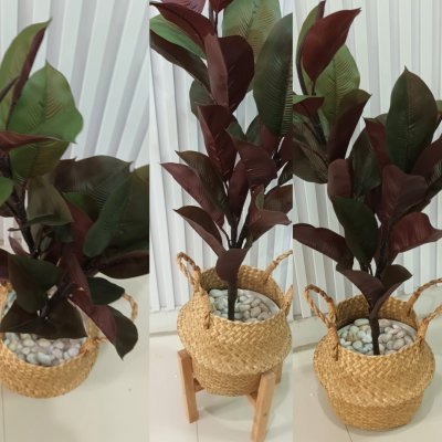 ต้นยางอินเดียปลอมประดิษฐ์ Artificial Rubber Tree