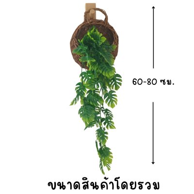 ต้นไม้เลื้อยปลอมประดิษฐ์ในตะกร้าหวายแขวนผนัง Artificial climbing plant in a wicker basket.