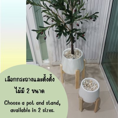 ต้นมะกอกโอลีฟปลอมประดิษฐ์ Artificial / Fake Olive Tree