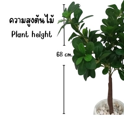 ต้นช้อนเงินช้อนทองประดิษฐ์ Artificial Banyan Tree