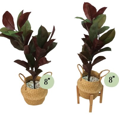 ต้นยางอินเดียปลอมประดิษฐ์ Artificial Rubber Tree