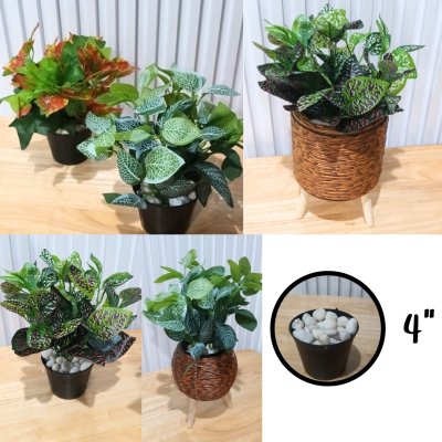 ต้นไม้ปลอมต้นไม้ประดิษฐ์ใบสวยงามเหมือนจริงแต่งบ้านแต่งร้าน Artificial plant, beautiful realistic leaves