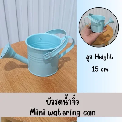 บัวรดน้ำจิ๋วตกแต่งบ้านแต่งสวนแต่งร้าน Small watering can
