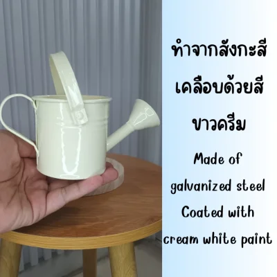 บัวรดน้ำจิ๋วตกแต่งบ้านแต่งสวนแต่งร้าน Small watering can
